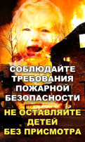Не оставляйте детей без присмотра! Не оставляйте детей без присмотра!.