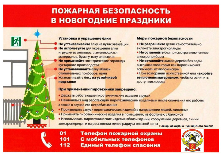 Правила пожарной безопасности при проведении Новогодних праздников Правила пожарной безопасности при проведении Новогодних праздников.
