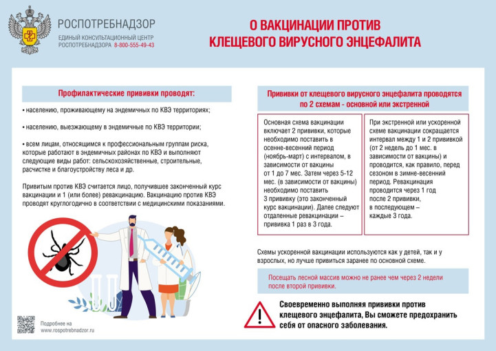 Памятка "Прививка от клещевого энцефалита" Памятка "Прививка от клещевого энцефалита".
