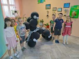 старшая группа старшая группа .